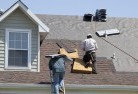 Budgeeskylights-2.jpg; ?>